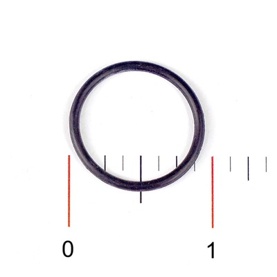 Fleck O-Ring, -019, 2900