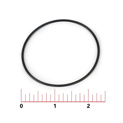 Fleck O-Ring, 3900 Piston