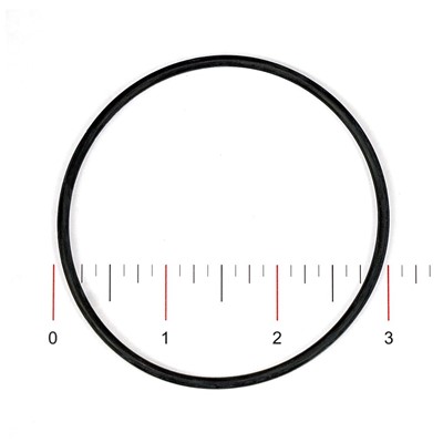 Fleck O-Ring, 3900 Adptr Coupling