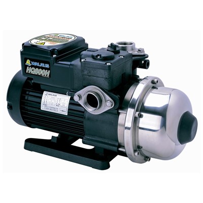 Walrus SS Booster Pump, 1 Hp, 1"