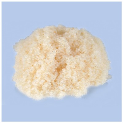 ResinTech Nitrate Select Resin